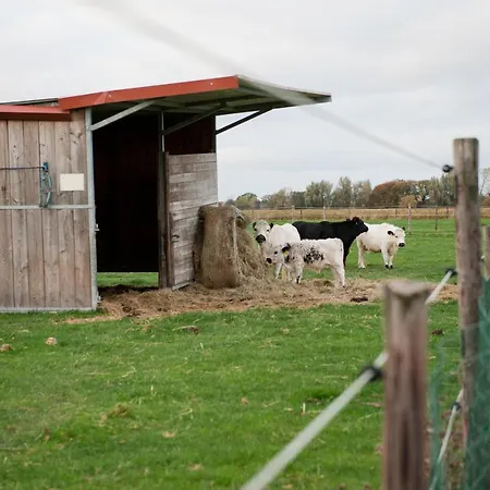 Tiny House Pioneer - Ferienhof Janssen Schillig
